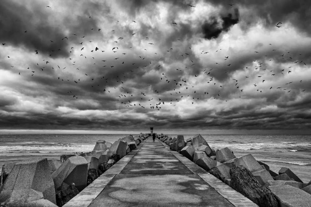 Stormy Pier Birds by Stéphane Pecqueux — canvas wall art