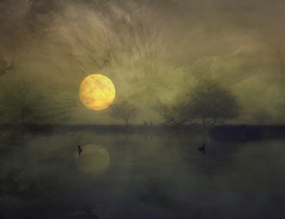 Serene Golden Moon Lake