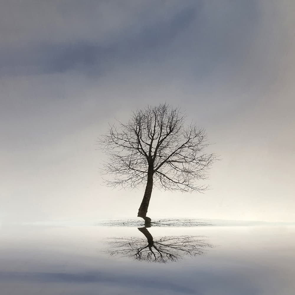 All alone with my reflection by Huib Limberg — canvas wall art