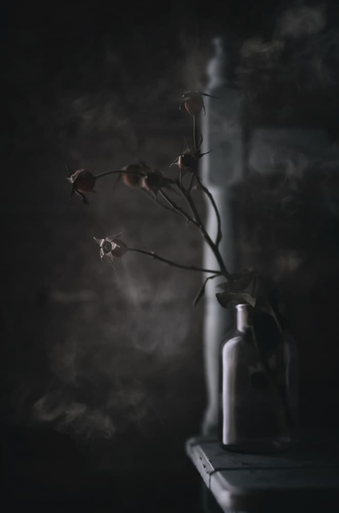 Moody Dried Botanicals by Saleh Swid — canvas wall art