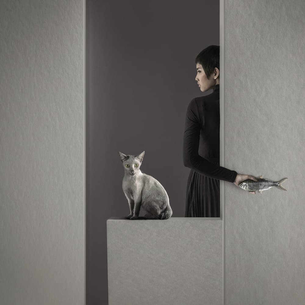 Elegant Offer to Cat by hardibudi — canvas wall art