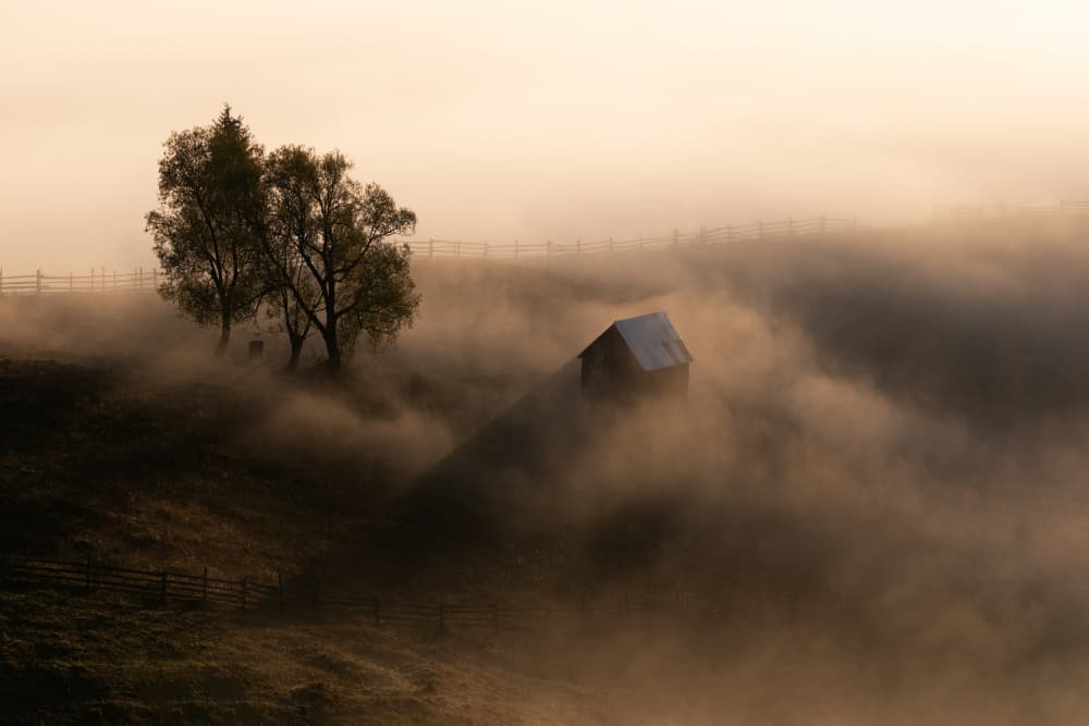 Misty Morning Barn by Sebastian Prioteasa — canvas wall art