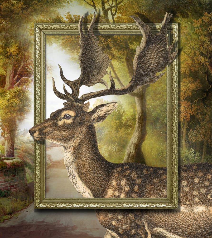 Deer Emerging From Frame by Marja van den Hurk — canvas wall art