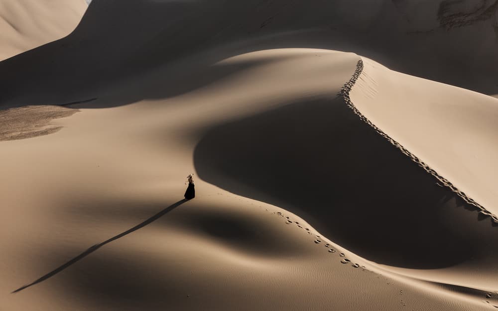 Solitary Desert Journey by Bingo Z — canvas wall art