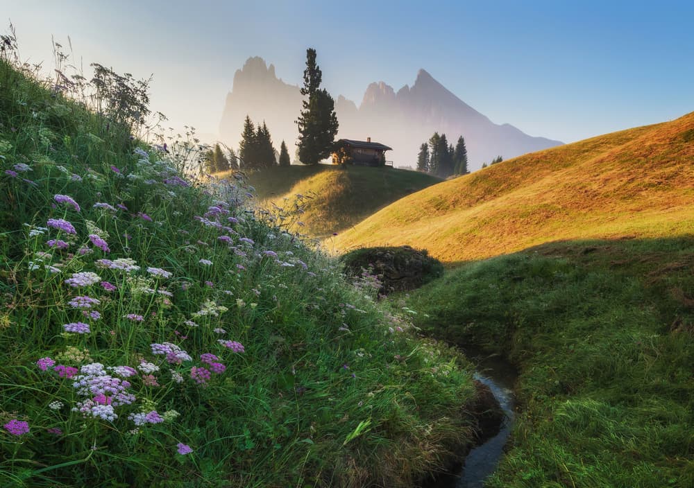 Golden Mountain Meadow by Ales Krivec — canvas wall art