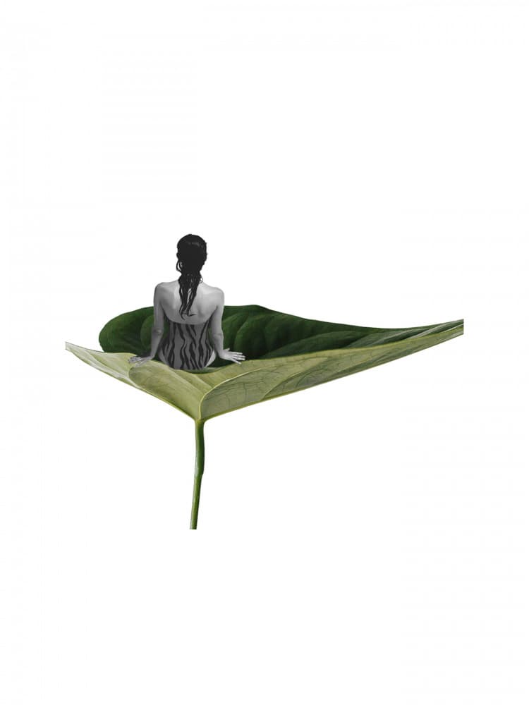 Dreaming on a Green Leaf by Elizabeth C — canvas wall art