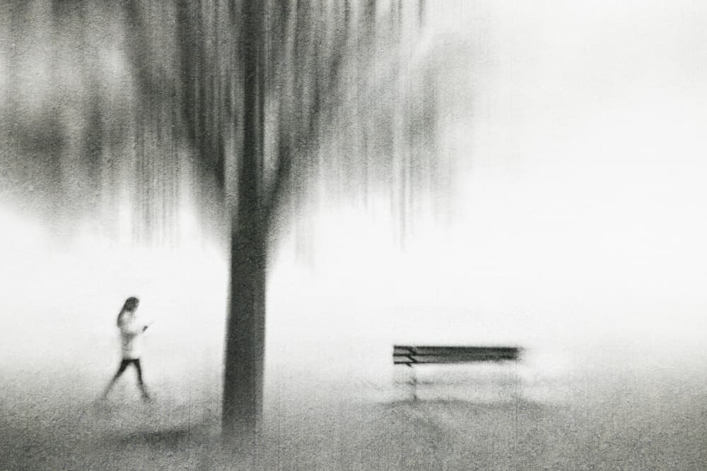 Solitary Walk Blurred Park by Cindy Liu — canvas wall art