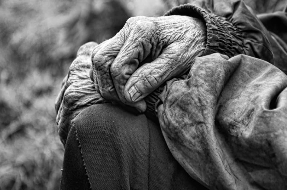 Weathered Hands of Life by Stefan Kamenov — canvas wall art