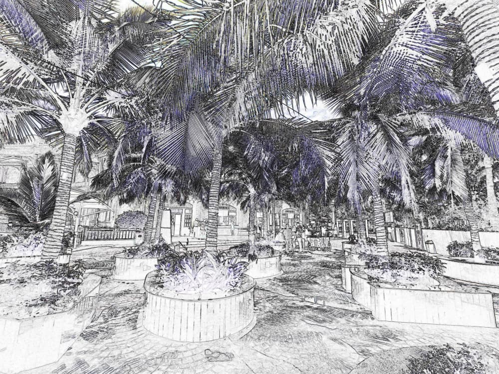 Shaded Palm Garden Sketch by Santhosh ch — canvas wall art