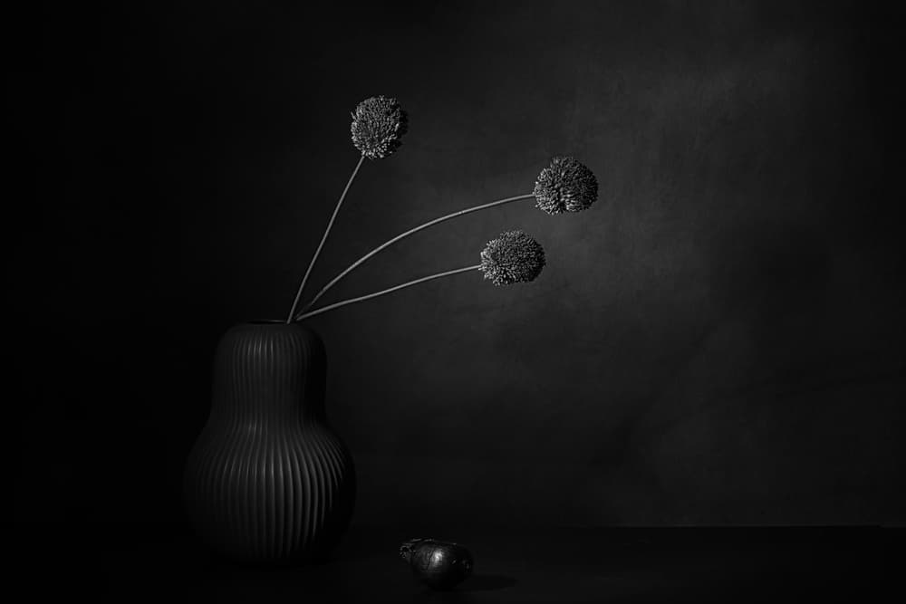 Dark Floral Stillness by Saskia Dingemans — canvas wall art