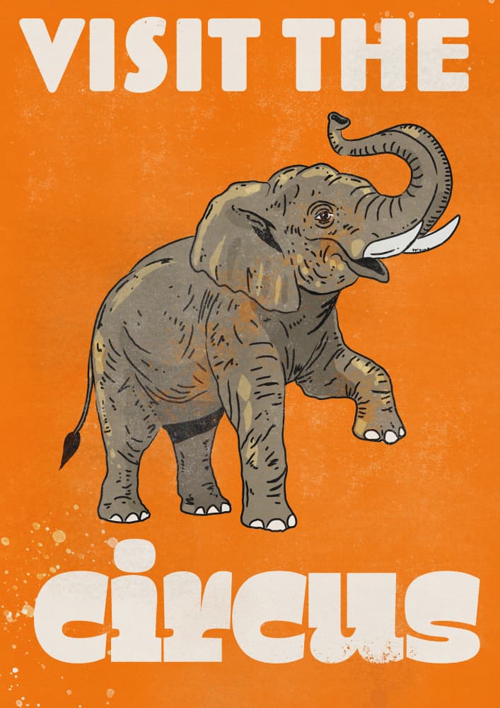 Vintage Circus Elephant by Nicholas — canvas wall art
