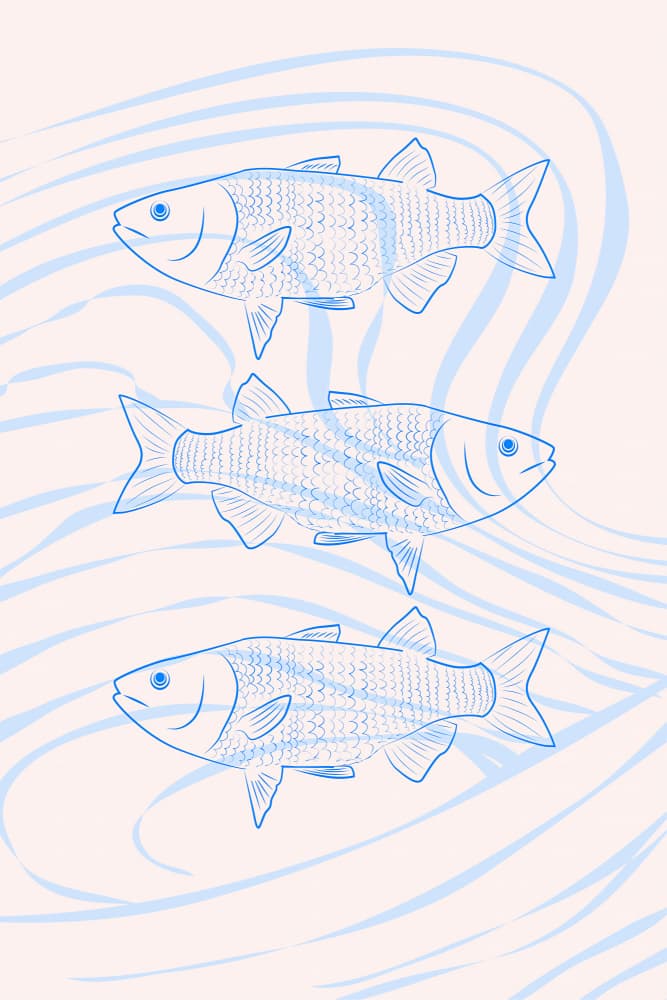 Fishes by Treechild — canvas wall art