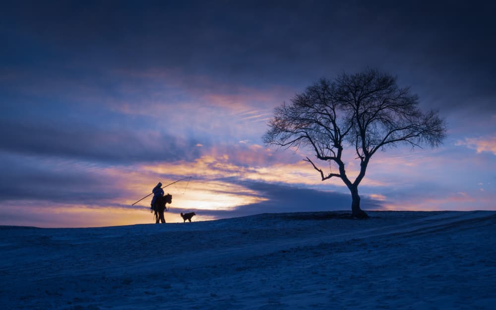 Winter Sunset Silhouettes by Songlin Xu — canvas wall art