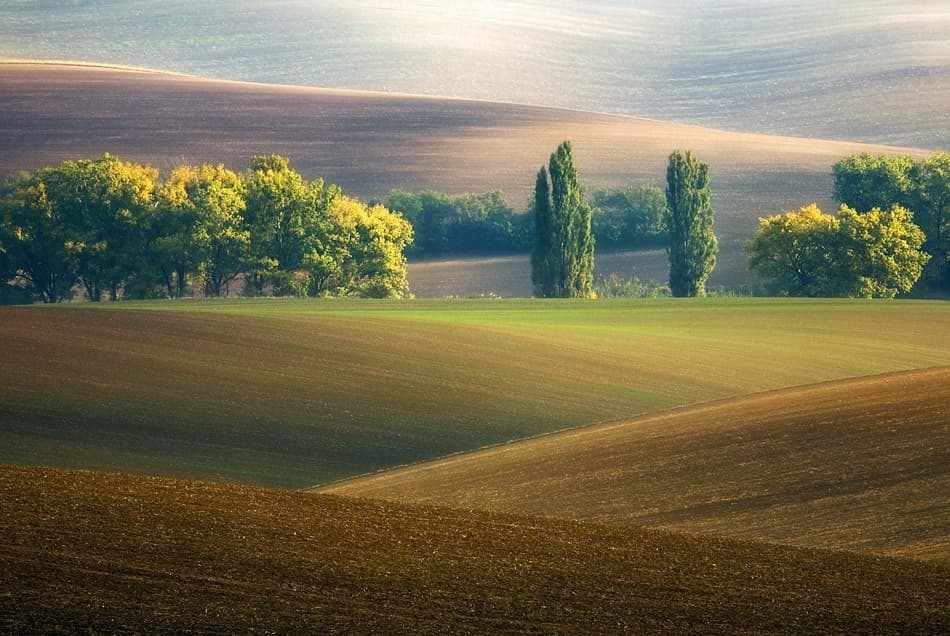 Gentle Hills Serene Fields by Krzysztof Browko — canvas wall art