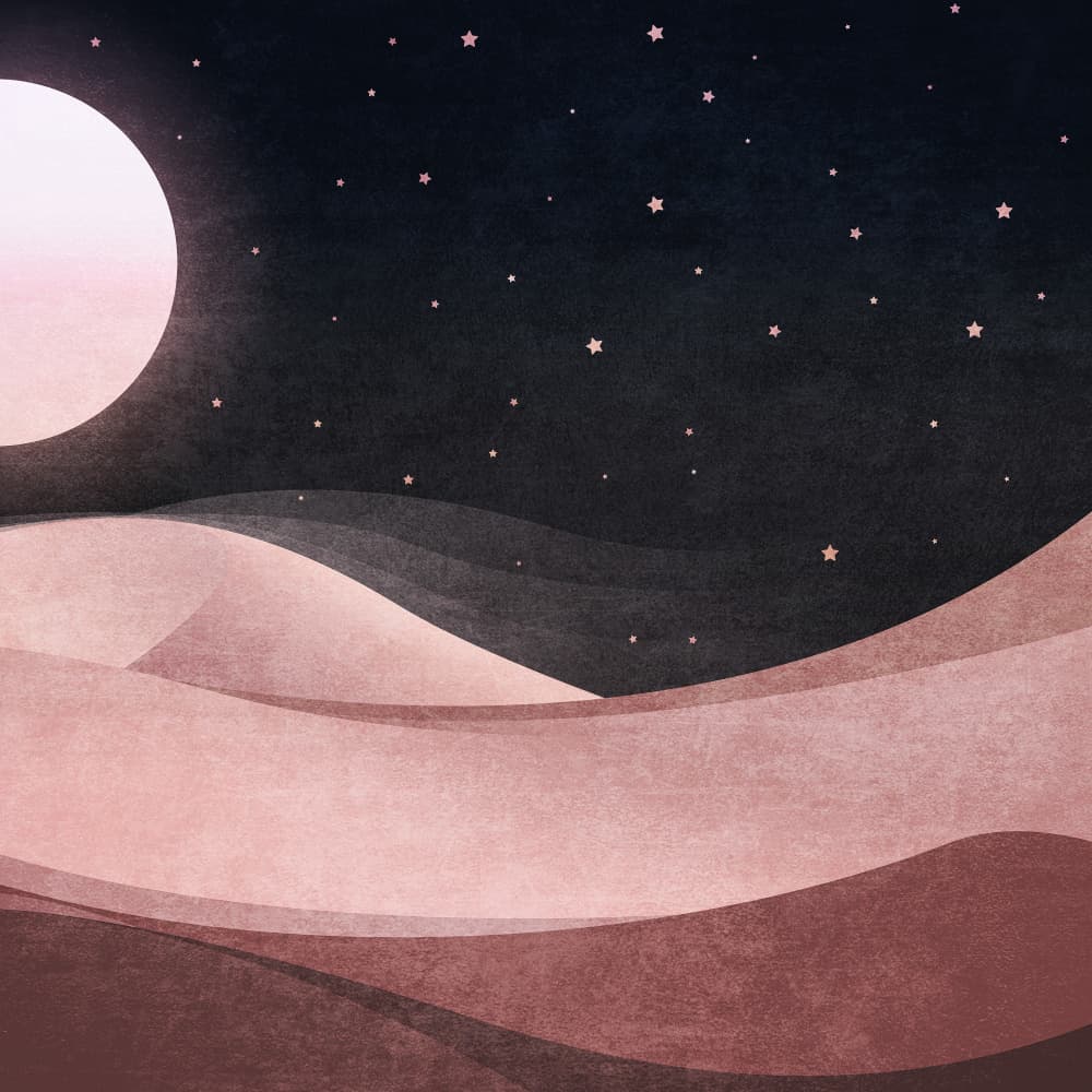 Serene Lunar Dunes by Emel Tunaboylu — canvas wall art