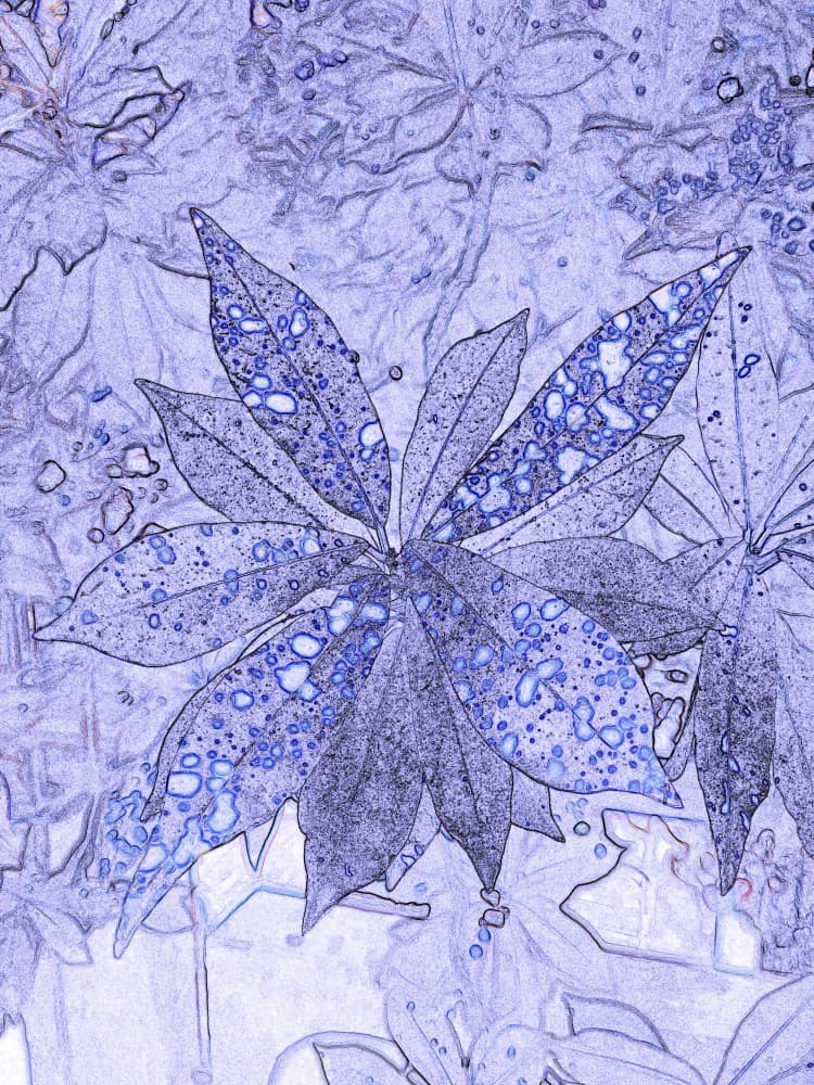 Indigo Leaf Pattern by Santhosh ch — canvas wall art