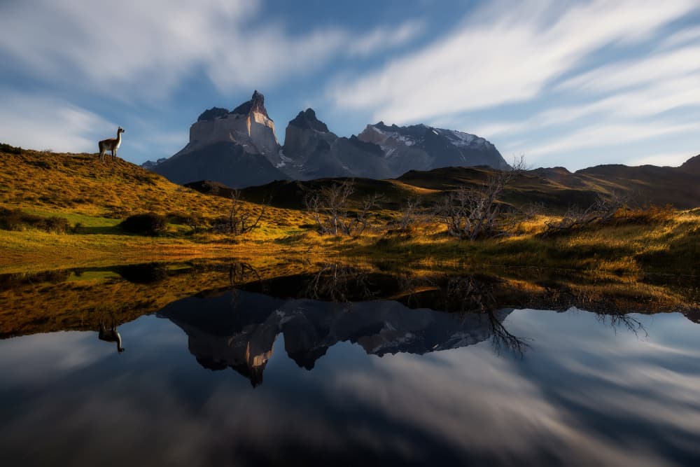 Guanaco Mountain Reflection by Johnny Zhang — canvas wall art