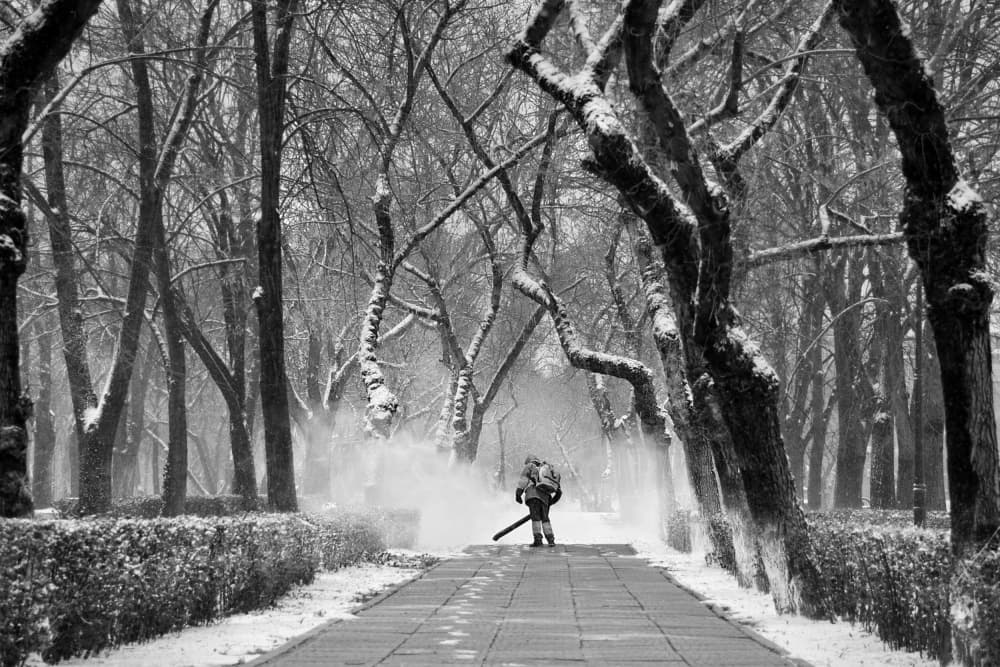 Blowing Winter Snow by Nicoleta Gabor — canvas wall art