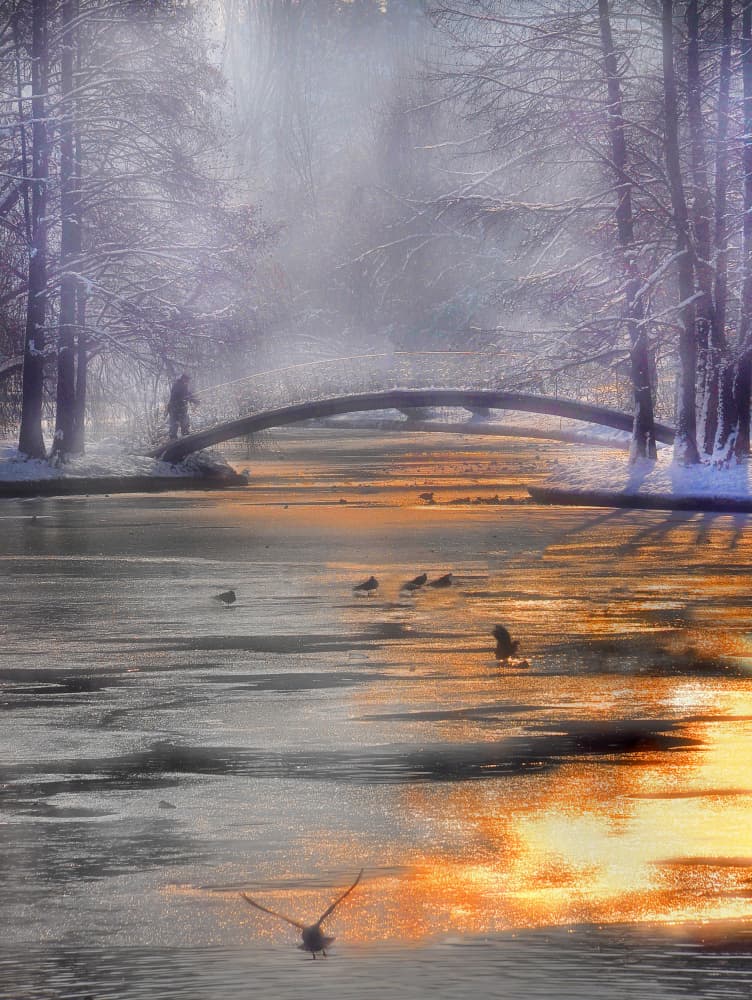 Misty Winter Bridge by Cristian Andreescu — canvas wall art