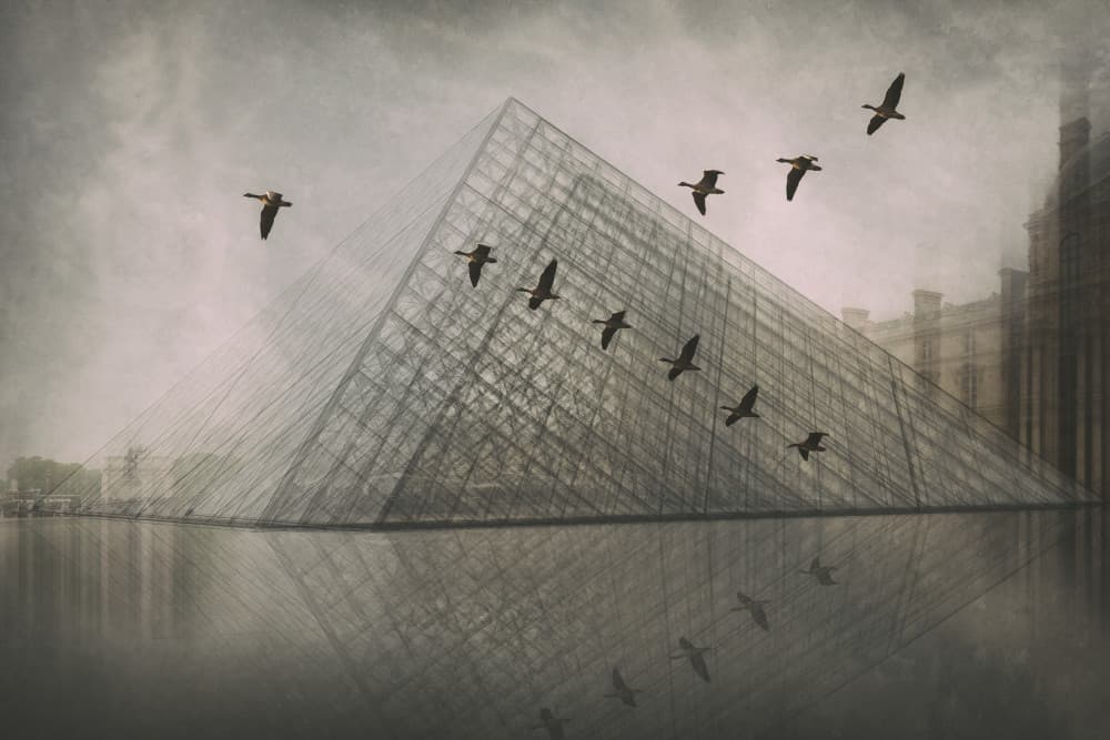 Glass Pyramid Geese Reflection by Roswitha Schleicher-Schwarz — canvas wall art