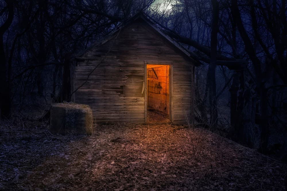 Enchanted Forest Cabin by Jose Garcia — canvas wall art