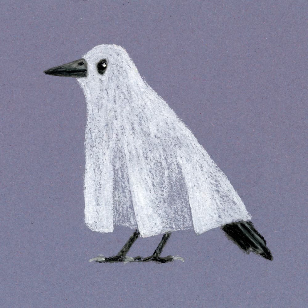 Funny Ghost Bird by Martina Scott — canvas wall art