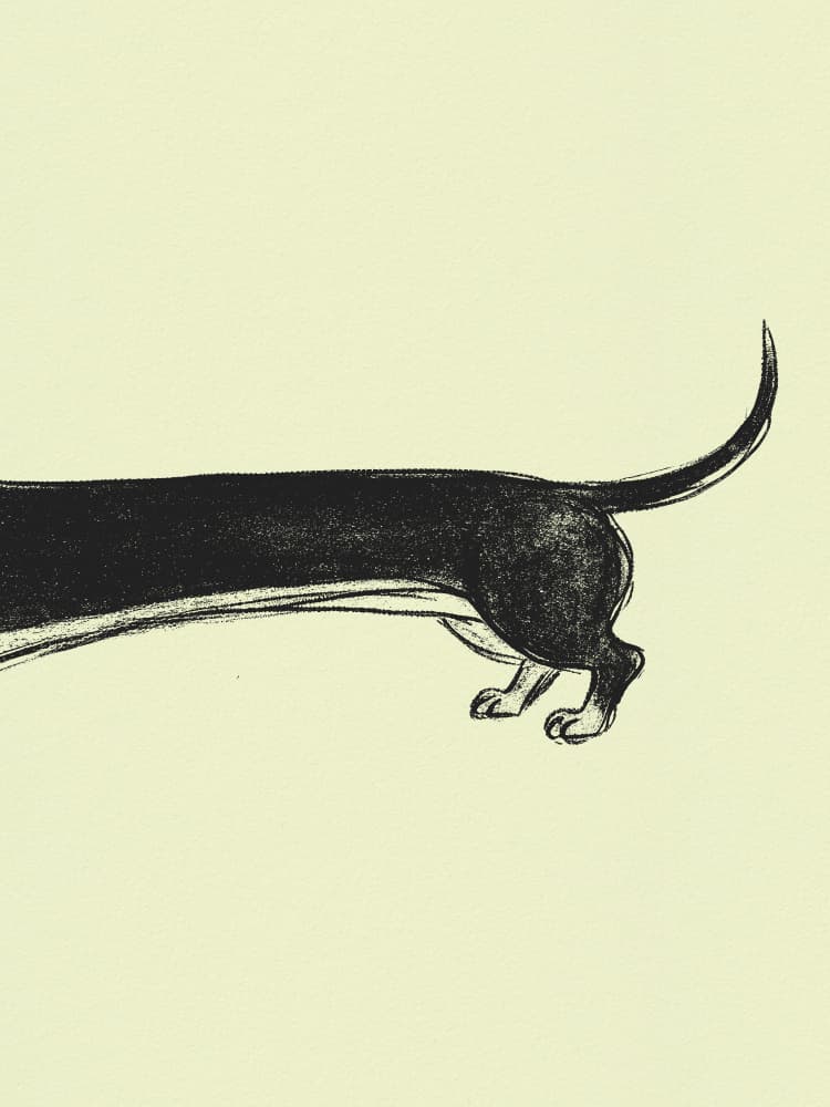 Whimsical Sausage Dog by Andreas Magnusson — canvas wall art