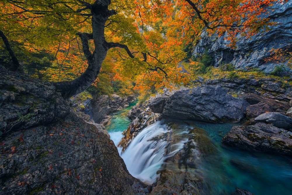 Vibrant Autumn Waterfall by David Martin Castan — canvas wall art