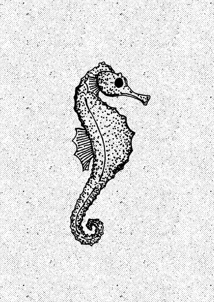 Elegant Seahorse Illustration