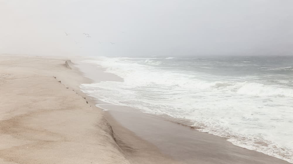 Serene Foggy Beach by Bruno Flour — canvas wall art