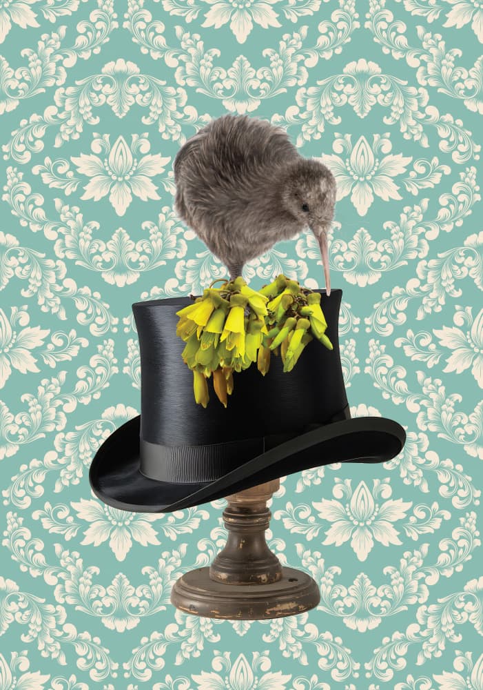 Kiwi And Kōwhai Hat by Sue Skellern — canvas wall art