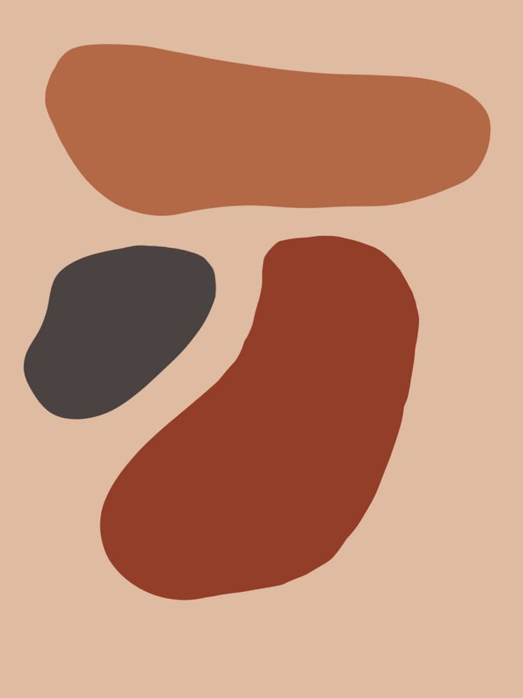 Organic Earthy Shapes by Studio Palette — canvas wall art