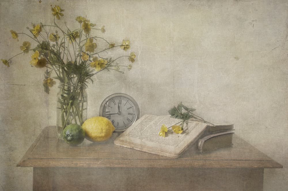 Timeless Still Life by Deborah Gugeri — canvas wall art