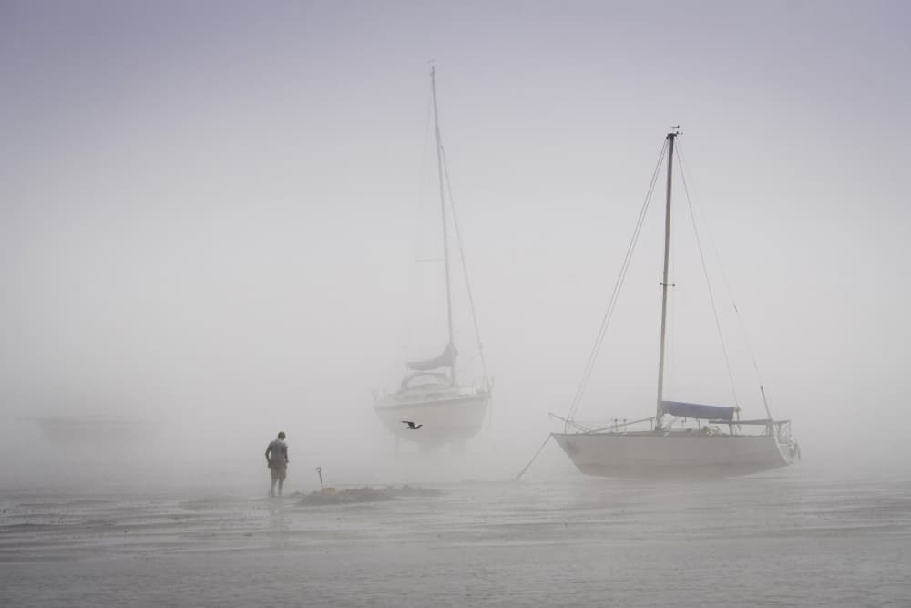 Sailboats In The Mist by Davor Goll — canvas wall art