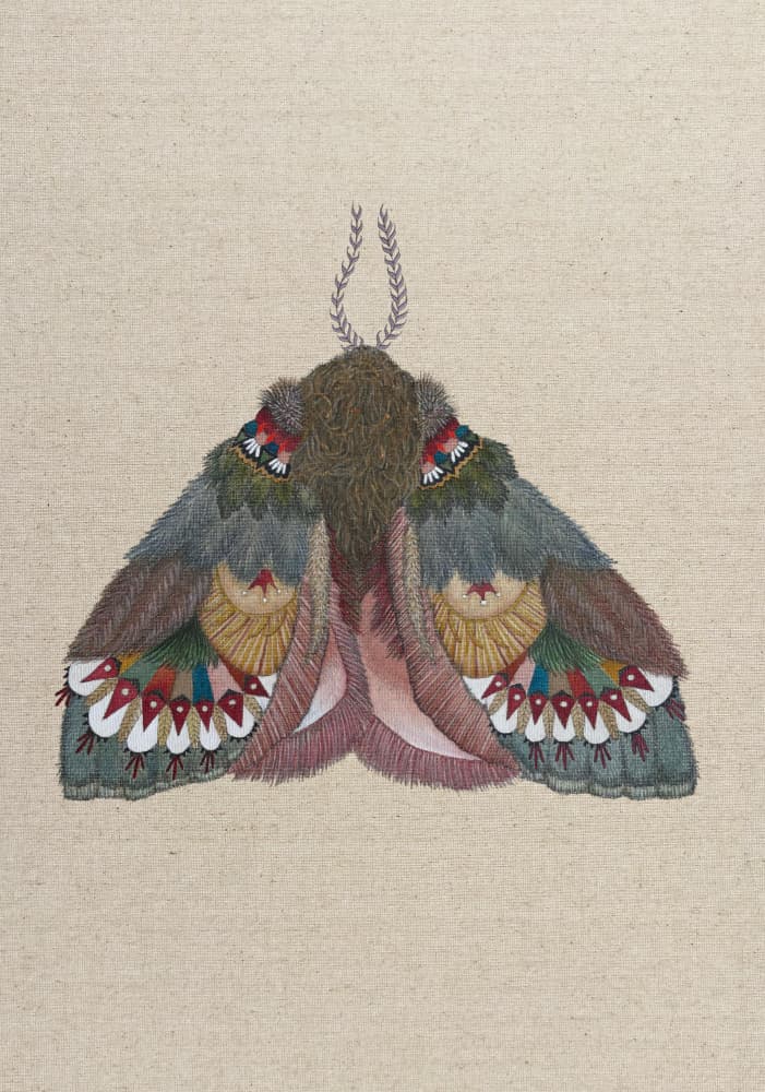 Intricate Bohemian Moth by ZAM.ROD — canvas wall art