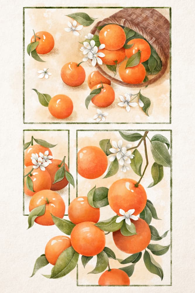 Watercolor Oranges And Blossoms by Xuan Thai — canvas wall art