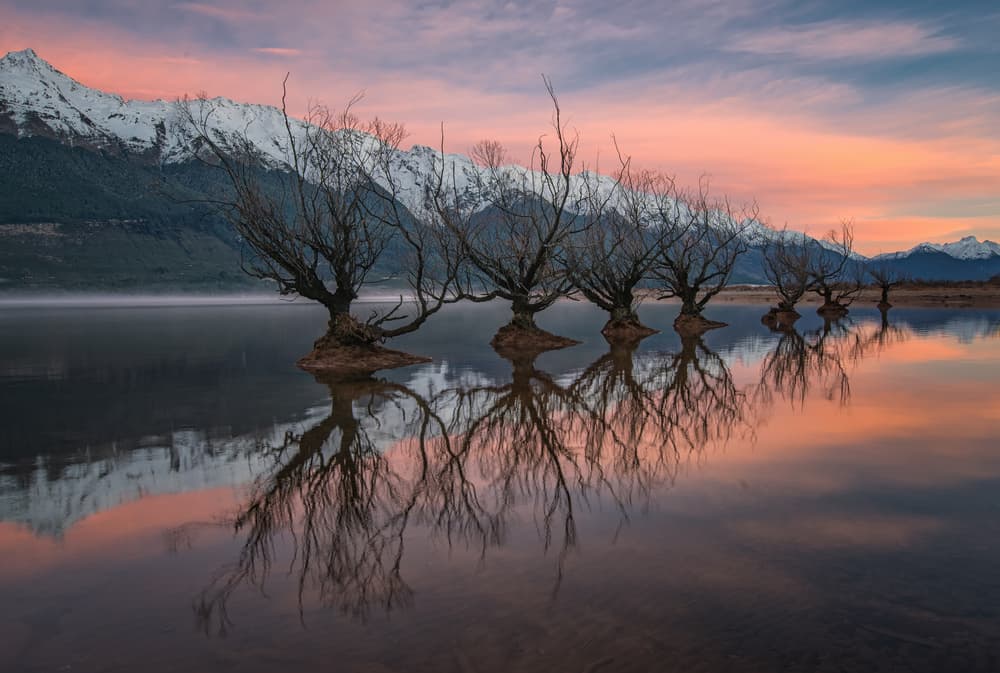 Misty Lake Willow Reflections by April Xie — canvas wall art