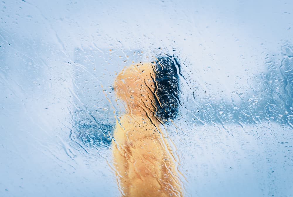 Yellow Jacket Rainy Day by Stephanie Kleimann — canvas wall art