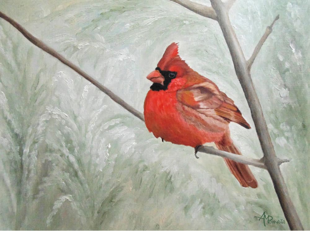 Serene Winter Cardinal by Angeles M. Pomata — canvas wall art