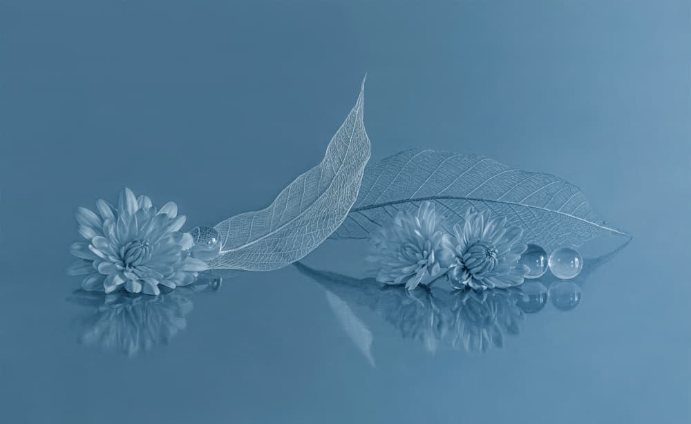 Serene Blue Botanicals by Yanyu Shen — canvas wall art