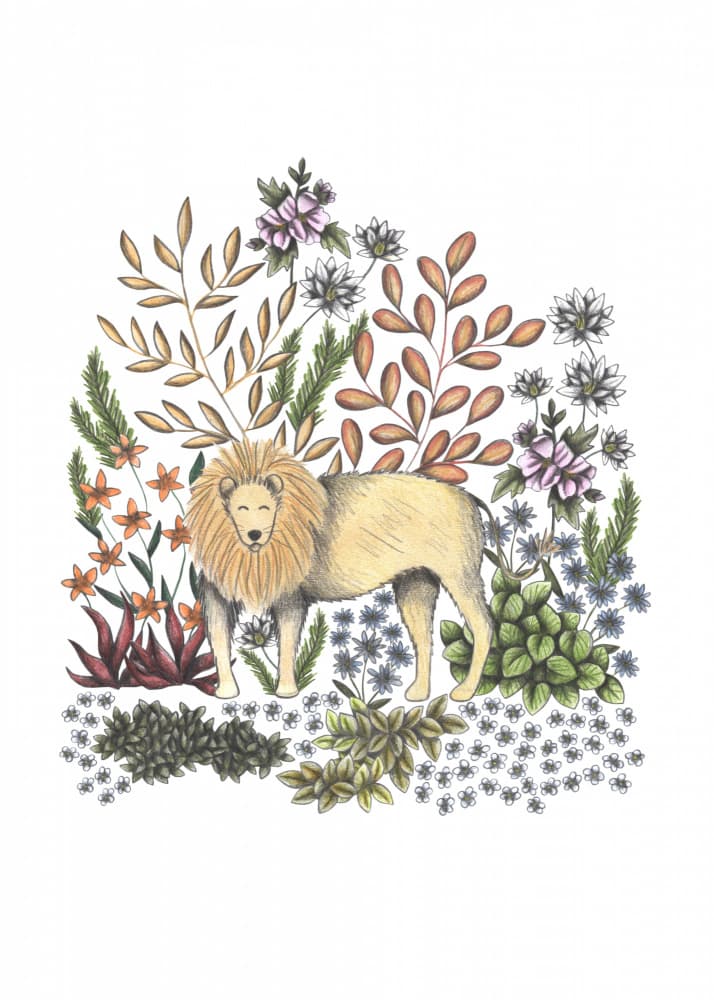 Peaceful Lion Botanical Garden by Cecilia Battaini — canvas wall art