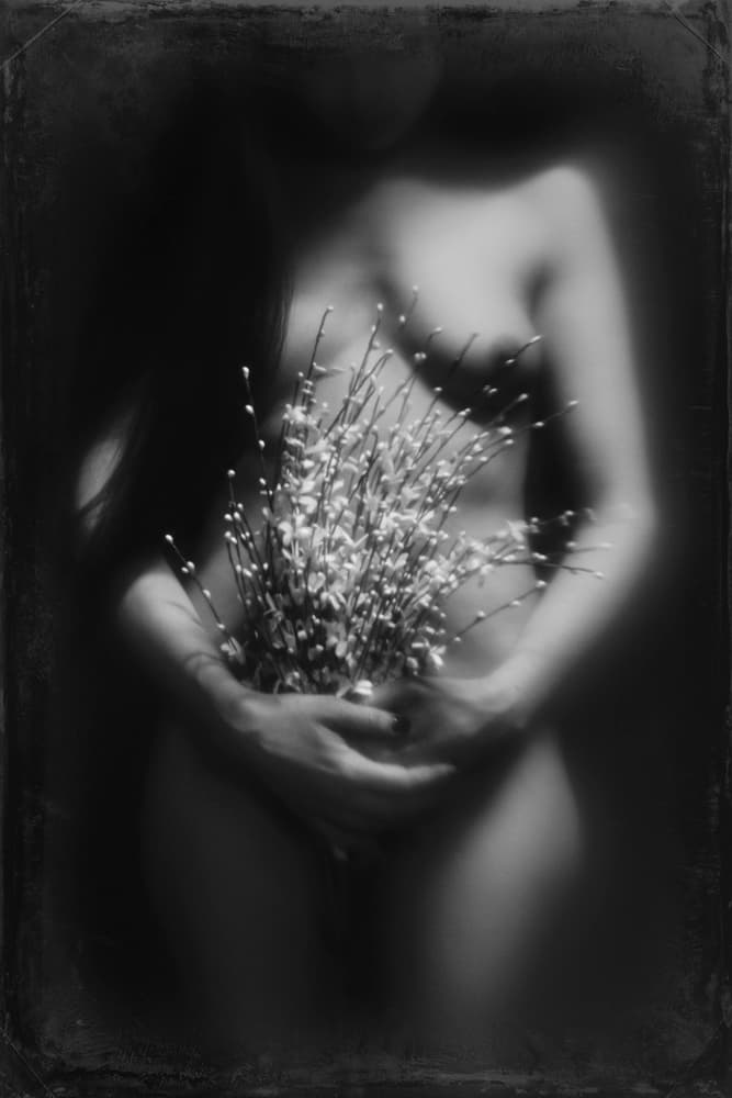 Soft Nude Bloom by Bogdan Bouşcă — canvas wall art
