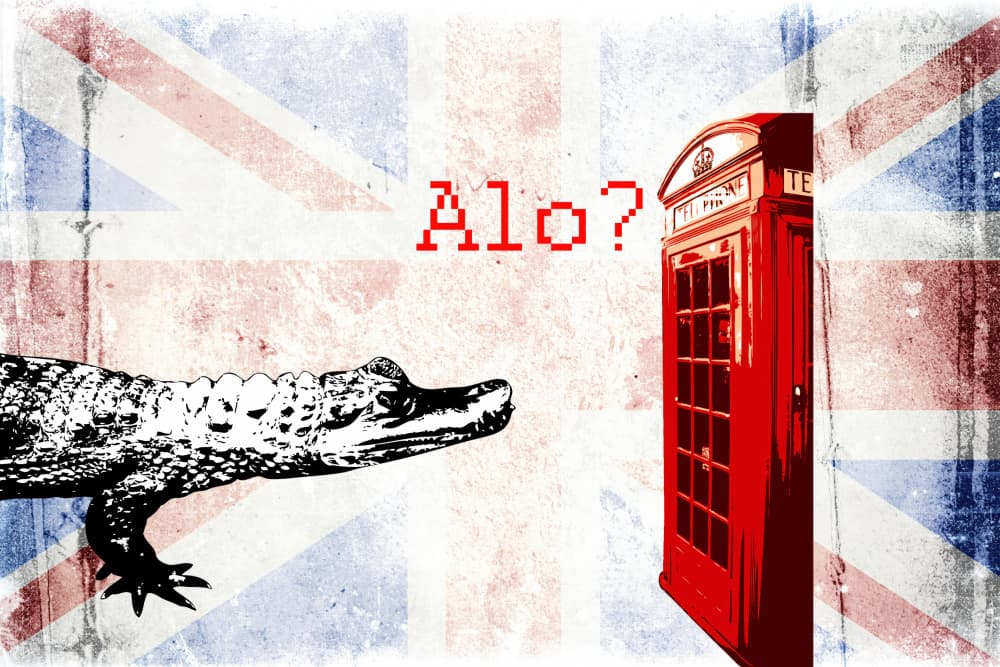 British Phone Alligator Call by Rafal Kulik — canvas wall art