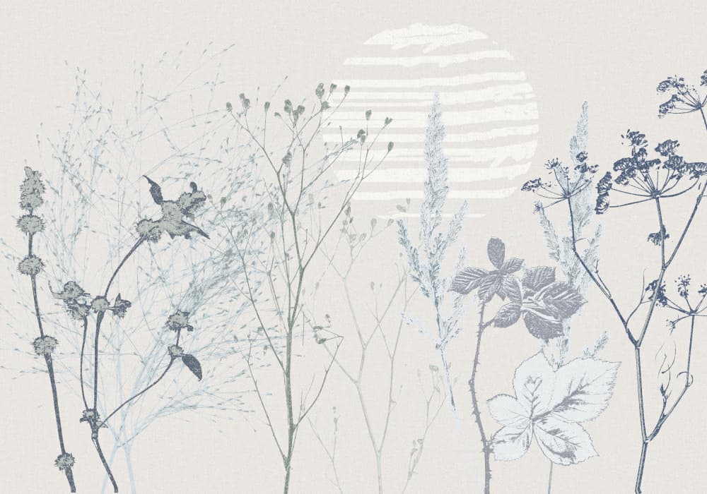 Delicate Meadow Sunlight