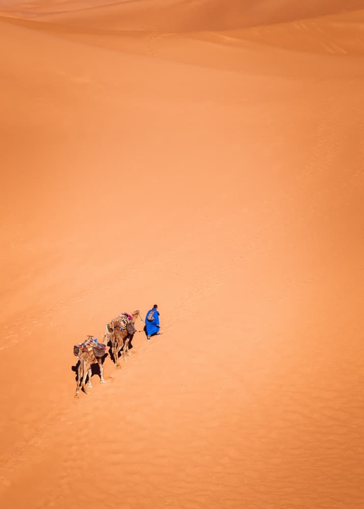 Desert Camel Journey by Miroslaw Prybinski — canvas wall art
