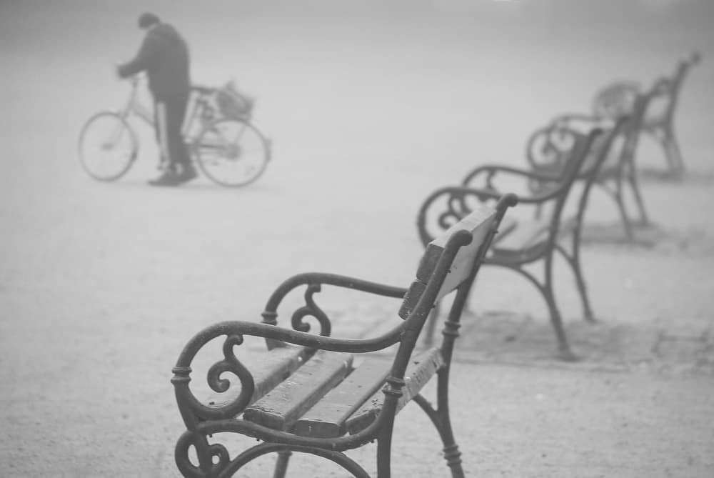 Misty Park Morning by Anna Niemiec — canvas wall art