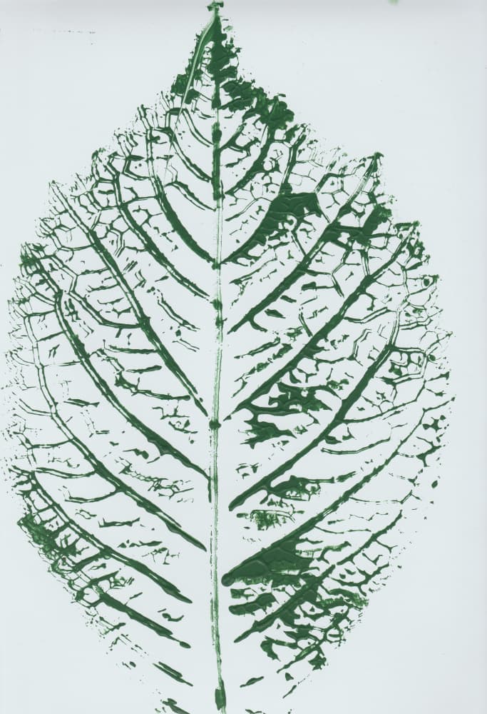 Detailed Green Leaf Print by Maira Ribena — canvas wall art