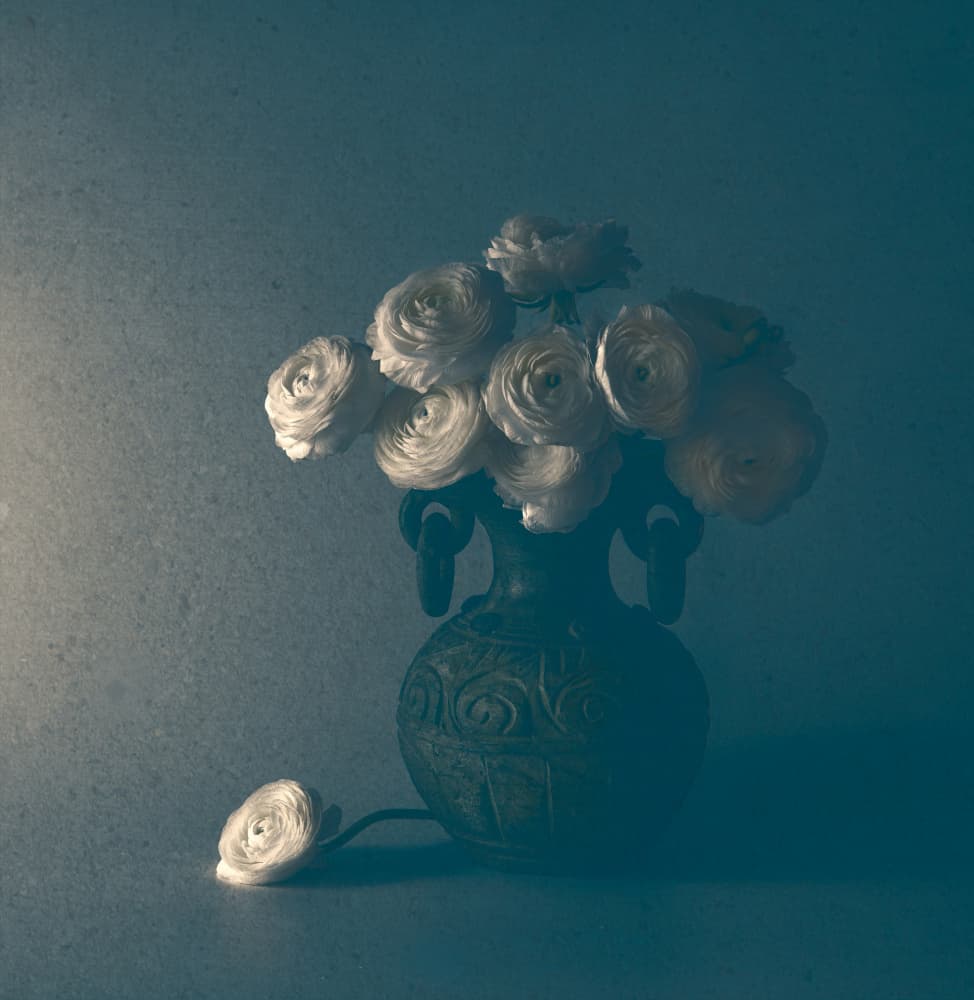 Classic Ranunculus Still Life by May G — canvas wall art