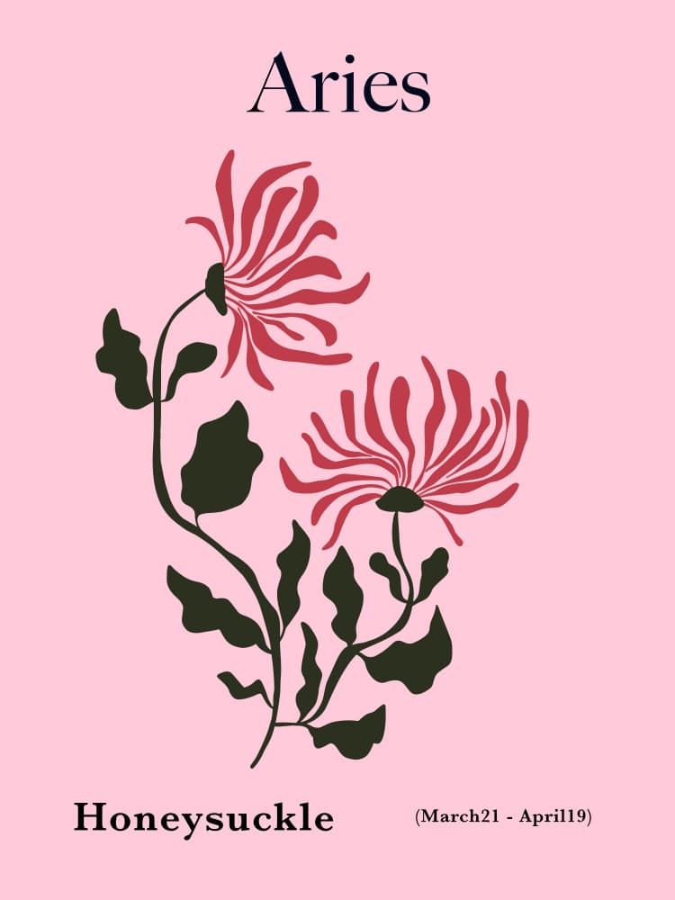 Aries Honeysuckle Flowers by Miho Art Studio — canvas wall art