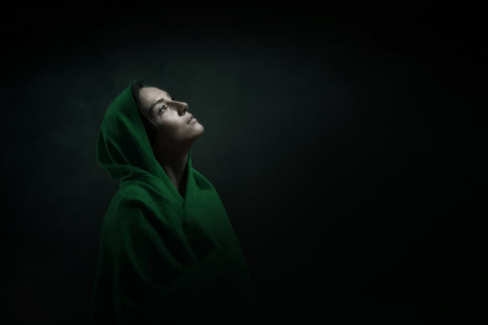 Green Hooded Contemplation by Moein Hasheminasab — canvas wall art